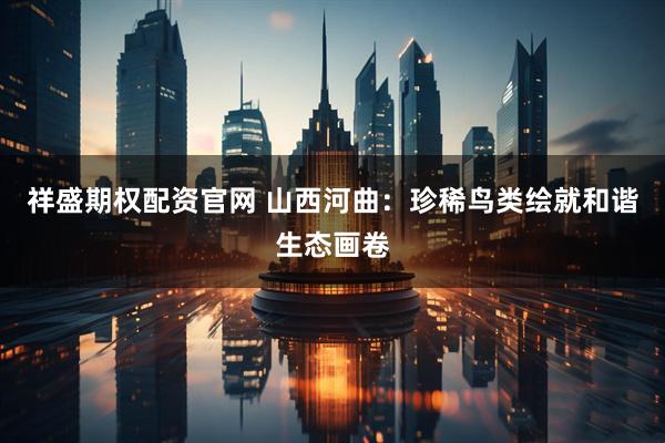 祥盛期权配资官网 山西河曲：珍稀鸟类绘就和谐生态画卷