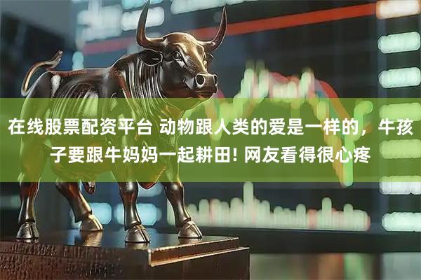 在线股票配资平台 动物跟人类的爱是一样的，牛孩子要跟牛妈妈一起耕田! 网友看得很心疼