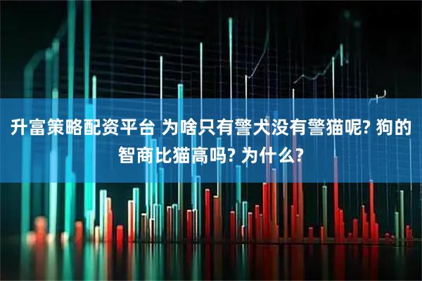 升富策略配资平台 为啥只有警犬没有警猫呢? 狗的智商比猫高吗? 为什么?